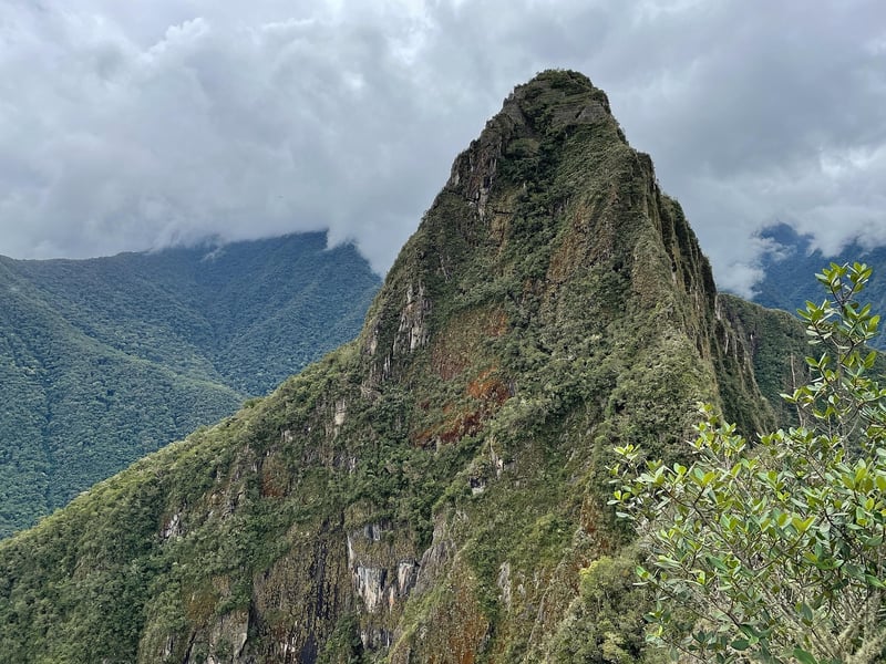 Treehouse Lodge, Peru